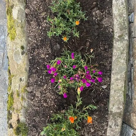 Gasthof Casa Da Cota