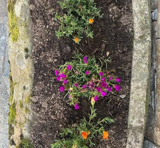 بيت ضيافة Casa Da Cota